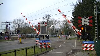 Spoorwegovergang DriebergenZeist  Dutch railroad crossing [upl. by Onabru538]