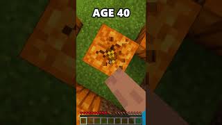 Minecraft Bases at Different Ages🤯 [upl. by Eilrahs]