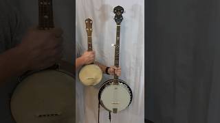 Banjo or Banjo Ukulele [upl. by Roehm]