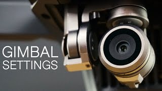 How To Adjust Gimbal Tilt And Speed Settings  DJI Mavic Pro [upl. by Aiyekal830]