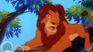 The Lion Kings Timon amp Pumbaa fandub  adult Simba dub [upl. by Melar539]