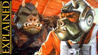 Gamorrean Species Biology Society and History [upl. by Nylessej]