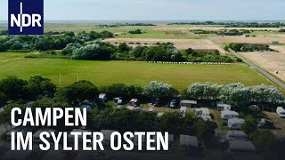 Gemeinschaft Tradition und Nachhaltigkeit Campen auf Sylt  Die Nordreportage  NDR Doku [upl. by Byrd]