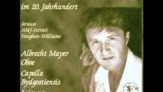 R Vaughan Williams Concert for oboe Albrecht Mayer Oboe 2 [upl. by Clifford]