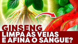 Planta milenar contra má circulação que melhora a saúde cardiovascular incríveis efeitos do ginseng [upl. by Hannahc]