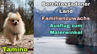 Berchtesgadener Land  Familienzuwachs Tamino am Aussichtspunkt Malerwinkel Königssee [upl. by Cissie]