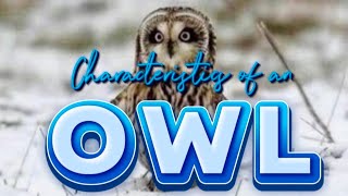 CHARACTERISTICS OF AN OWL [upl. by Cherian]