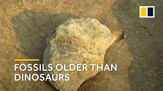 Fossils 150 million years older than dinosaurs found in China [upl. by Yrrok779]