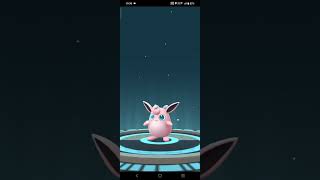 EVOLVING JIGGLYPUFF INTO WIGGLYTUFF shorts gameplay pokemongo [upl. by Euqinimod]