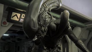 Alien IsolationXENOMORPH TIMEEEEEEEEEEEEEEEEEEEEEE [upl. by Dajma]