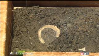 Reading Antarcticas Rock Cores  Antarcticas Climate Secrets [upl. by Velda493]