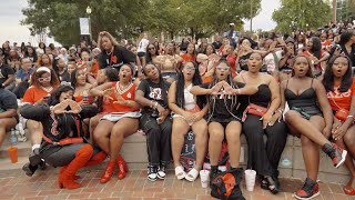 THE ALPHA CHI CHAPTER OF DELTA SIGMA THETA SORORITY INC  TENNESSEE STATE UNIVERSITY YARD SHOW 2024 [upl. by Hoffert]