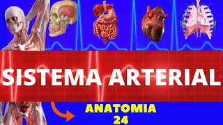 ANATOMIA DO SISTEMA ARTERIAL ANATOMIA HUMANA  ARTÉRIAS DO CORPO HUMANO E AORTA [upl. by Euhc]