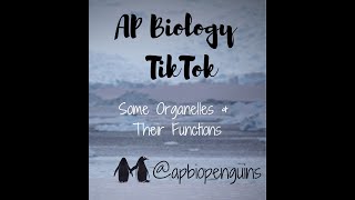 AP Bio TikTok Some Organelles amp Functions [upl. by Thin]