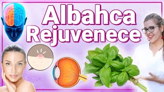 Albahaca Para Todo  Para Qué Sirve  Beneficios Para Tu Salud Y Belleza [upl. by Refinaj]