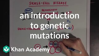 An introduction to genetic mutations  Biomolecules  MCAT  Khan Academy [upl. by Rimaj]