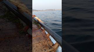 Catching Big rahu fish 🐠🐋🐟viralvideo fishing bigfish fishinglife netfishing [upl. by Akena881]