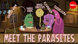 How brain parasites change their hosts behavior  Jaap de Roode [upl. by Arod304]