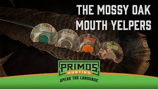 The Mossy Oak Mouth Yelpers [upl. by Esila]