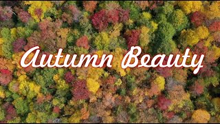 Autumn Beauty [upl. by Kaplan]