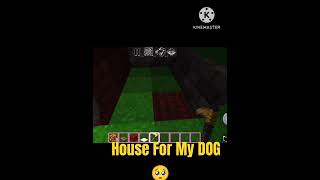 Minecraft House For My Dog 🥺 shorts minecraft akgaming17yt [upl. by Busiek861]