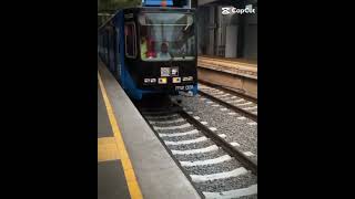 El Tren Ligero es capcut edit trenligero subscribe [upl. by Farra]