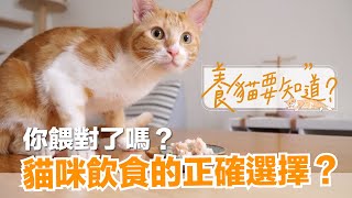 【養貓要知道EP2】貓咪怎麼吃才對？乾飼料、貓罐頭、鮮食、生食，怎麼選？ [upl. by Rachel771]