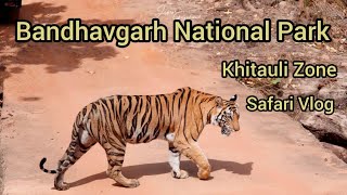 Bandhavgarh National Park Safari Khitauli Zone wildanimals wildlife safari vlogs [upl. by Lark]