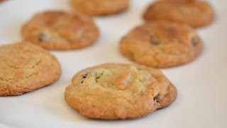 Cookies for One  Breville Toaster Oven Baking [upl. by Berte]