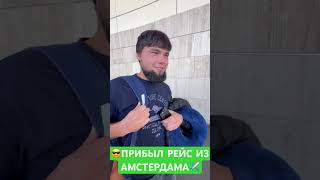 😎ПРИБЫЛ РЕЙС ИЗ АМСТЕРДАМА😉✈️ПРИБЫЛРЕЙ РЕЙСИЗАМСТЕРДАМА valencia [upl. by Nalyd]