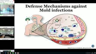 Invasive fungal infections [upl. by Gus330]