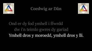 Coedwig ar Dân – Bwncath [upl. by Schulein]