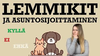 Asuntosijoittaminen ja lemmikit  kannattaako eläimet sallia [upl. by Vassily114]