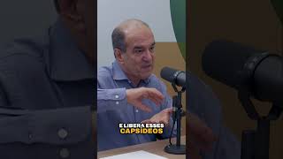 ENTENDA o que é Baculovírus e seu IMPACTO na lavoura podcastagro [upl. by Ahilam]