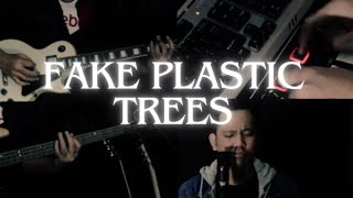 Radiohead  Fake Plastic Trees Cover [upl. by Idnal]