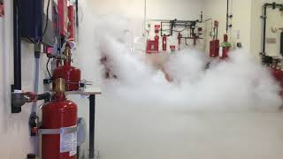 CO2 Fire Suppression System Discharge at Koorsen Training Center [upl. by Ahsieker437]