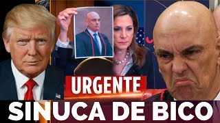 quot🎱 Moraes na Sinuca de Bico Desafios e Decisões Cruciaisquot [upl. by Kuebbing]