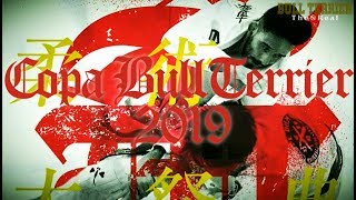 夏の柔術大祭典コパブルテリア2019PV Copa Bull Terrier BJJ Championship [upl. by Kappenne]