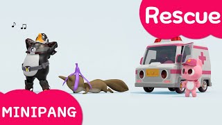 Learn colors with Miniforce  Minipang Rescue Watch out for the banana peel  MiniPang TV 3D Play [upl. by Elrebmik]