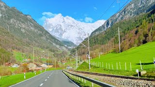 Grindelwald Switzerland 🇨🇭 Spring Vibes  swiss swissview [upl. by Yelrak596]