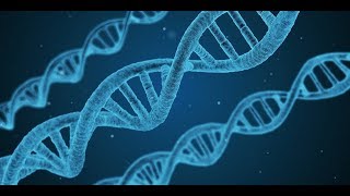 Structure amp Function of DNA  Botany Tamil [upl. by Sam]