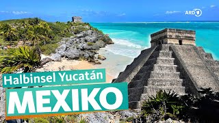 Yucatán – Mexikos Urlaubsparadies  ARD Reisen [upl. by Kerstin]