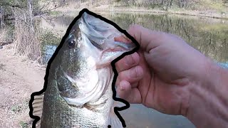 Arivaca Lake Spring Bass Fishing [upl. by Enehpets208]