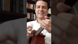 CUATRO tutorials PAJARILLO cuatrovenezolano ukulele [upl. by Selohcin]