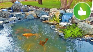 POND MAKEOVER with Wetland Filter COMPLETE  Reveal [upl. by Leahcimaj]