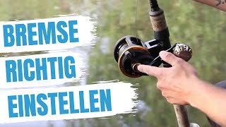 ► Bremse einstellen leichtgemacht  Bremse einstellen Anleitung  Dudis 101 [upl. by Lomax]