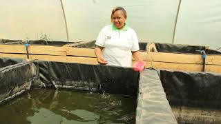 Cheap This Is How You Can Start Fish Farming At Home [upl. by Knowles32]