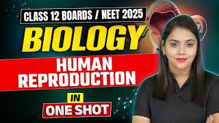 Human Reproduction in One Shot  Class 12 Biology Boards amp NEET 2025 Preparation  By Shipra Maam [upl. by Pfeifer559]