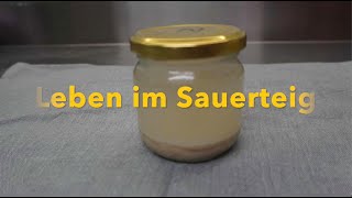 Leben im Sauerteig  aus der Serie Sauerteig Profiwissen [upl. by Esirahs793]