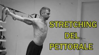 Stretching Parte 14 Pettorali [upl. by Neliak]